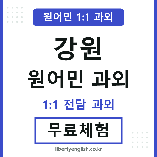 강원 원어민 과외