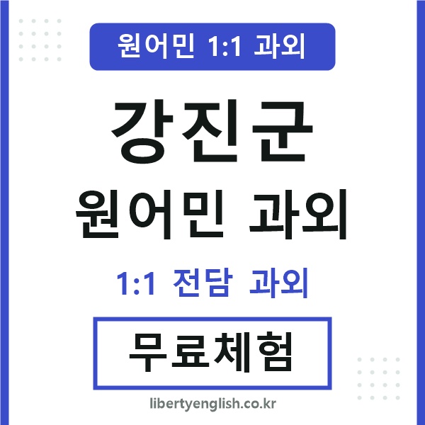 강진군 원어민 과외