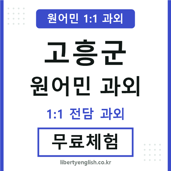 고흥군 원어민 과외