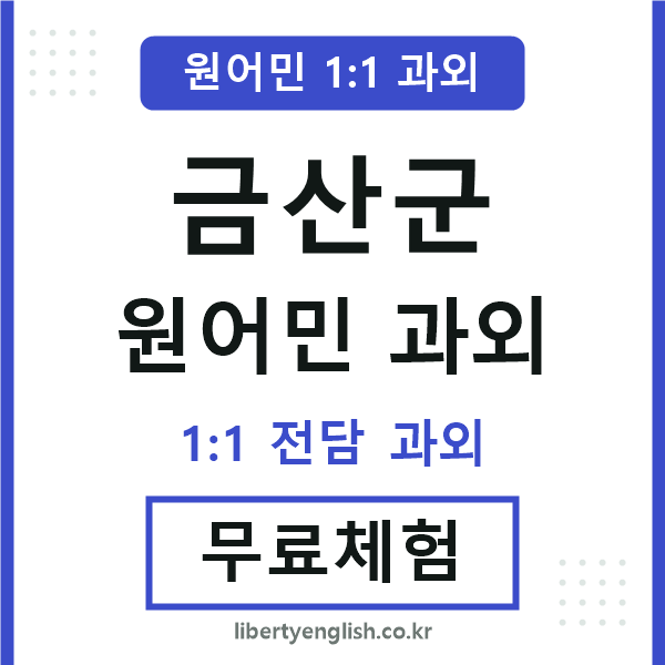 금산군 원어민 과외