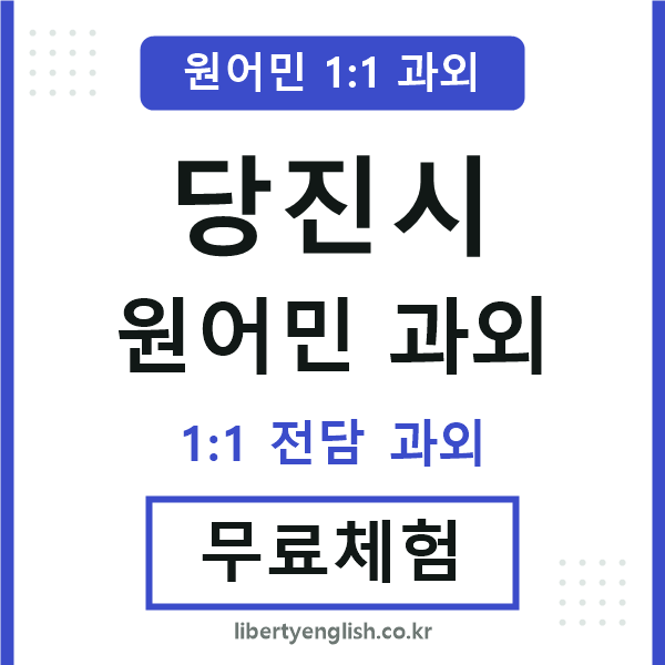 당진 원어민 과외