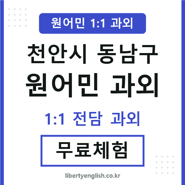 천안 원어민 과외