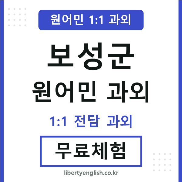 보성군 원어민 과외