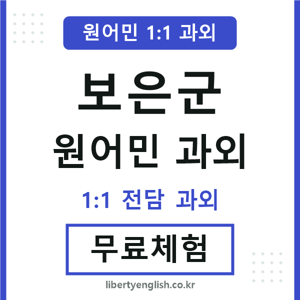 보은 원어민 과외