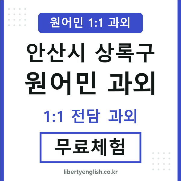 상록 원어민 과외