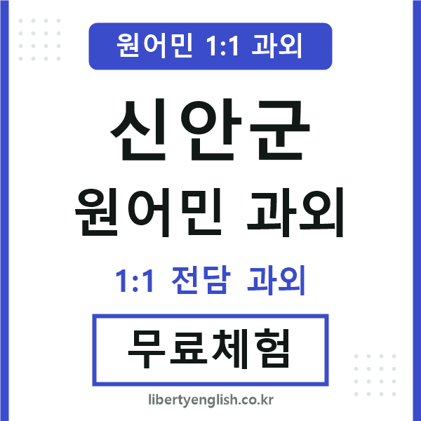 신안군 원어민 과외