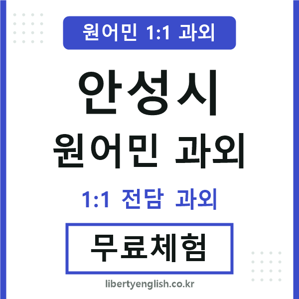 안성 원어민 과외