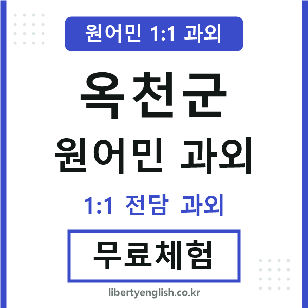 옥천군 원어민 과외