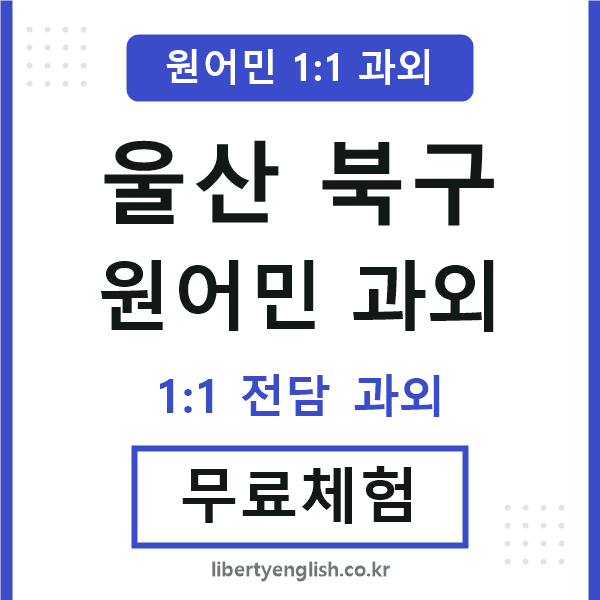 울산북구 원어민 과외