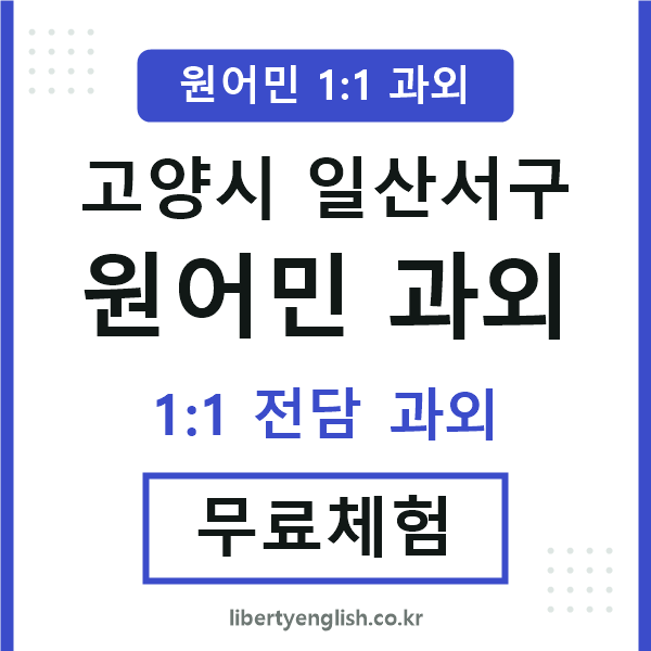 일산서구 원어민 과외