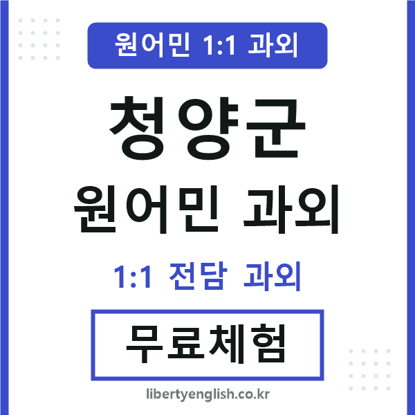 청양군 원어민 과외