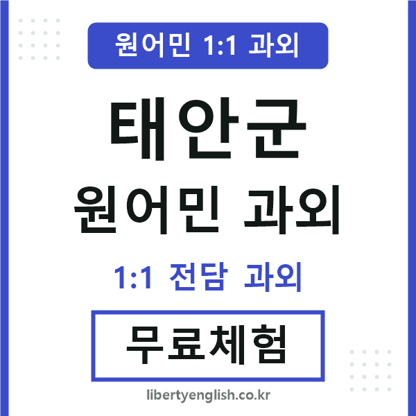 태안군 원어민 과외