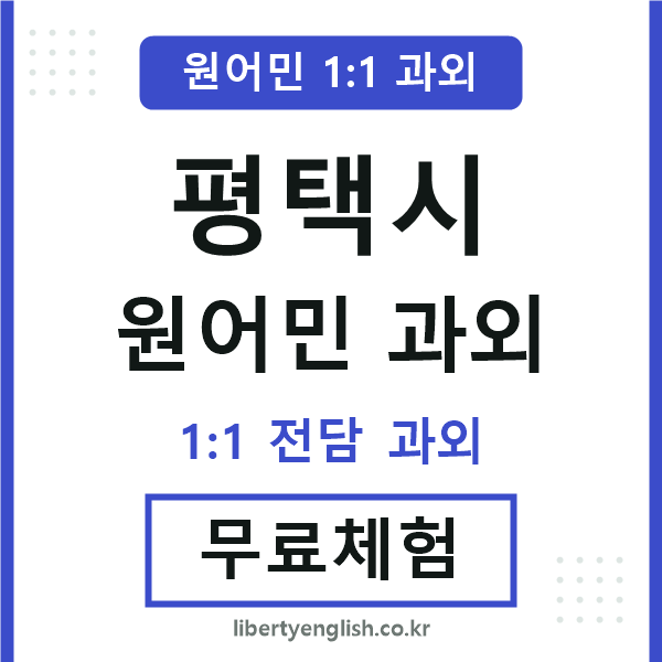 평택 원어민 과외