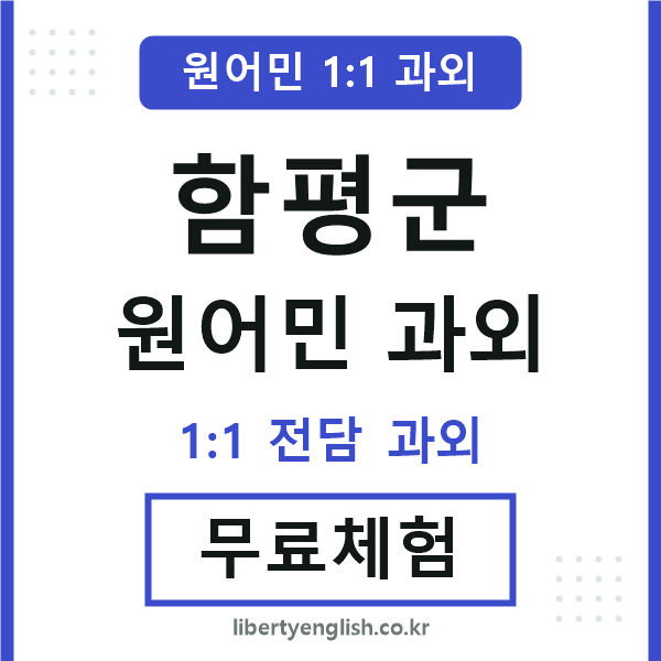 함평군 원어민 과외